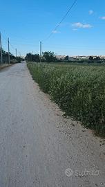 Terreno via La Martella Matera