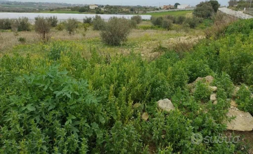Immobile in asta di 48970 m² a Noto - Vista 3