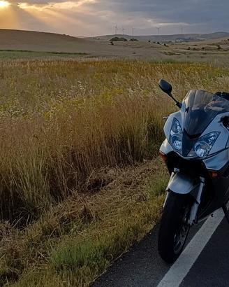 HONDA VFR 800 V-TEC 2005