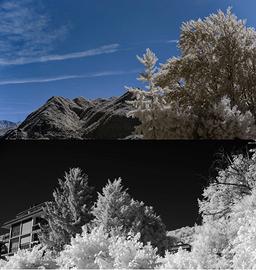 Panasonic Lumix G3  IR Infrared 720nm con 14-42mm