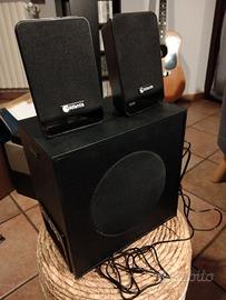 Sistema di altoparlanti (ideali per PC)