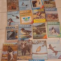 collezione completa riviste Diana anno 1979 