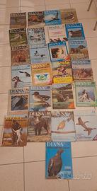 collezione completa riviste Diana anno 1979 