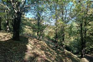 TER. AGRICOLO A SERINO