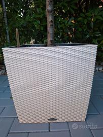  Lechuza CUBE  Cottage 50