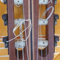 Indelicato - Chitarra Classica - 1961-1978