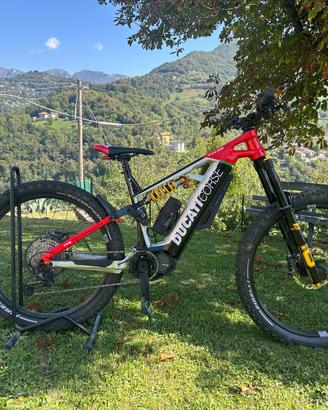 e-bike