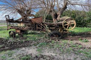 Pressa Breda Testa di Cavallo