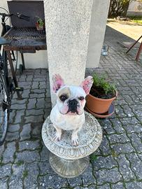 Accoppiare bulldog francese