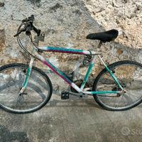  bicicletta mountin bike 
