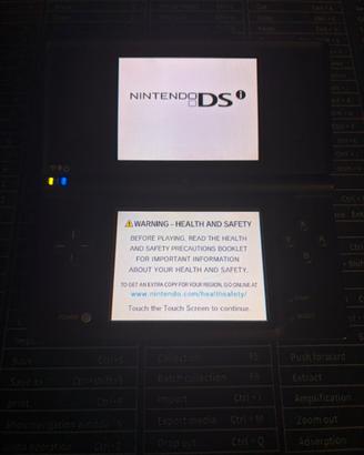 Nintendo DSI