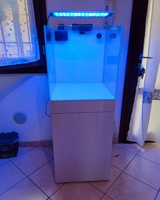 acquario marino 50×50×50