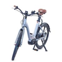 Bicicletta elettrica da donna. E-bike