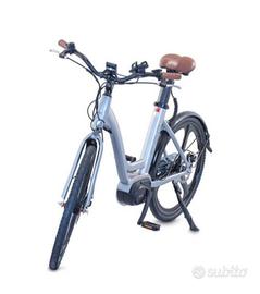 Bicicletta elettrica da donna. E-bike