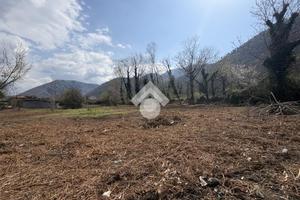 TER. AGRICOLO A CERVINARA