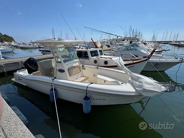 Barca pesca Scout 245 XSF