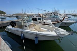 Barca pesca Scout 245 XSF