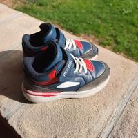 Scarpe della Primigi per bimbo 26