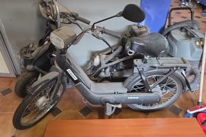 Motorino Ciao