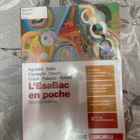 Libro scuola superiore Pari al nuovo