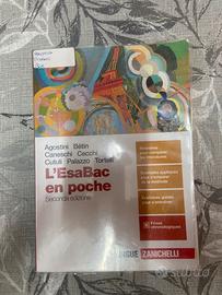 Libro scuola superiore Pari al nuovo