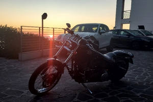 Harley davidson softail night train