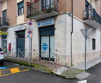 Gabinetto veterinario