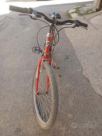 bicicletta 