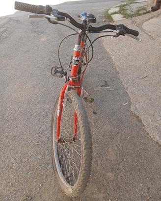 bicicletta 