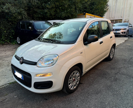 Fiat Panda 1.2 EasyPower 69 cv Euro 6 dtemp PROMO 