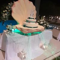 conchiglia in polistirolo 