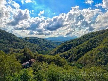 Casa immersa nel verde