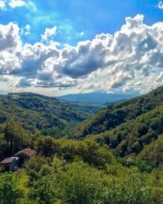 Casa immersa nel verde