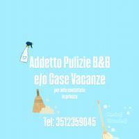 Addetta alle Pulizie