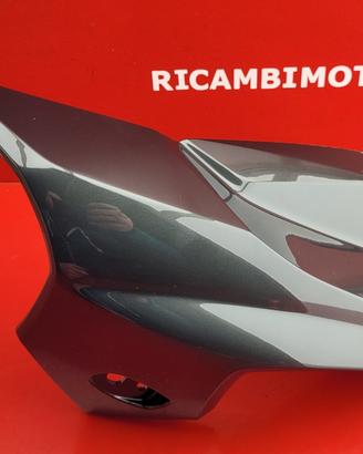 CARENA ANTERIORE SX BMW K1300R K 1300 SX
