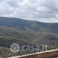 Casa indipendente Sticciano paese