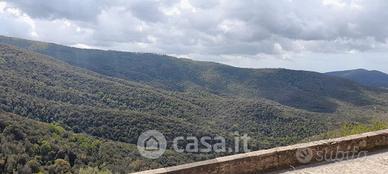 Casa indipendente Sticciano paese