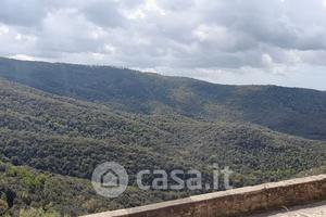 Casa indipendente Sticciano paese