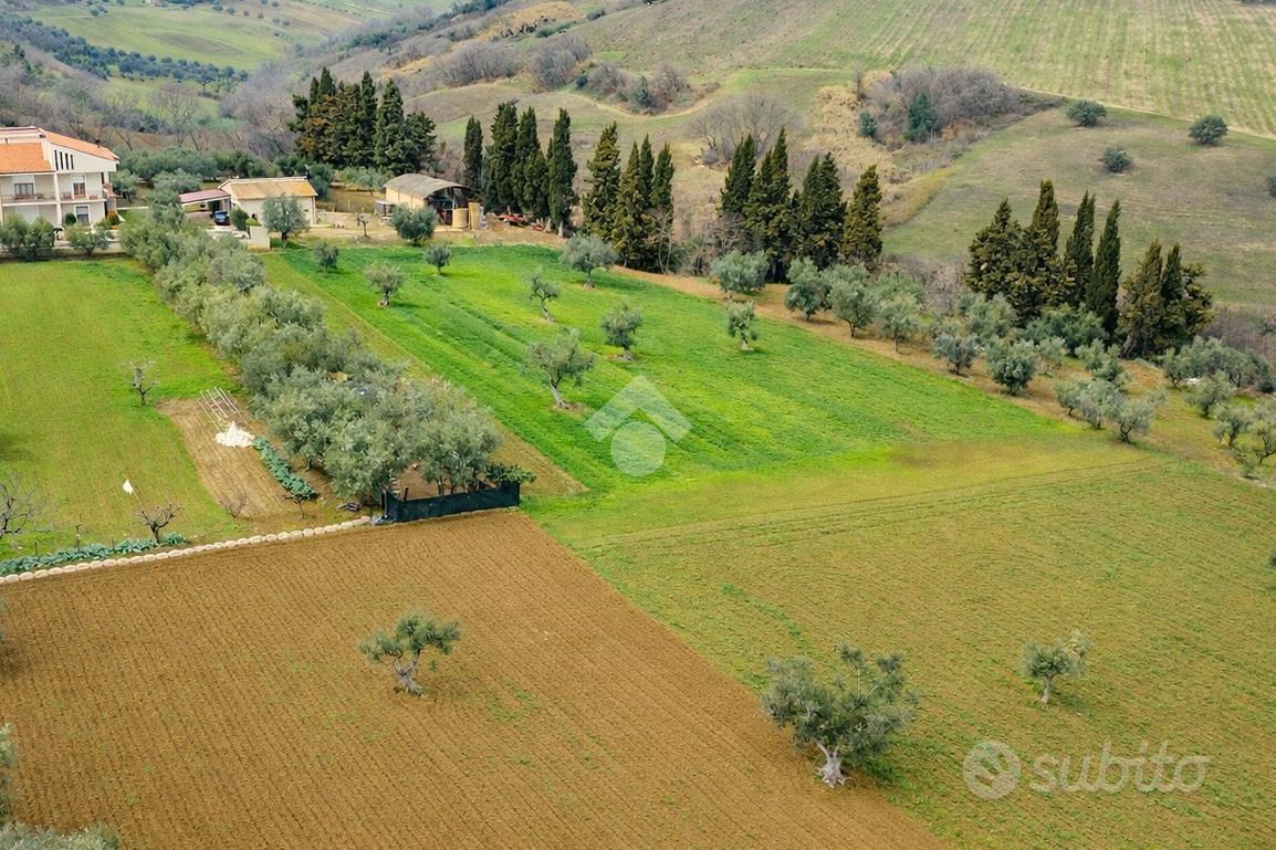 TERRENO A MORRO D'ORO - Vista 4