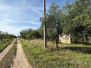 Terreno Agricolo - Crispiano