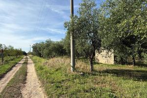 Terreno Agricolo - Crispiano