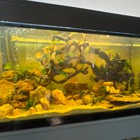 Acquario 120x50x50 solo vasca e illuminazione