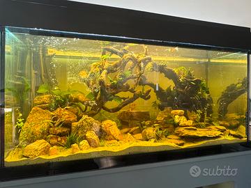 Acquario 120x50x50 solo vasca e illuminazione