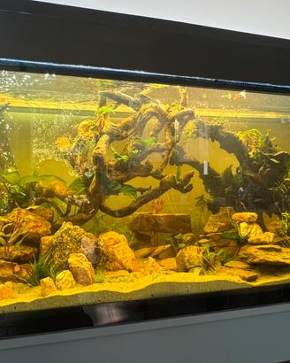 Acquario 120x50x50 solo vasca e illuminazione