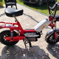 Malanga mini Z