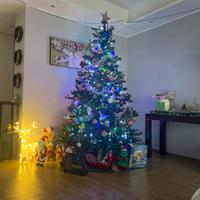 Albero di Natale 210cm