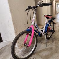 Bici Esperia ruote 20