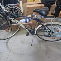 bicicletta da passeggio