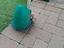 Immagine 3