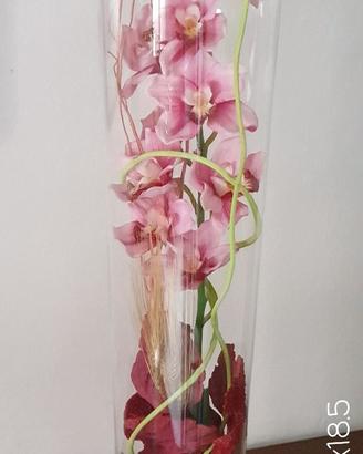 Vaso Orchidee Sandra Rich